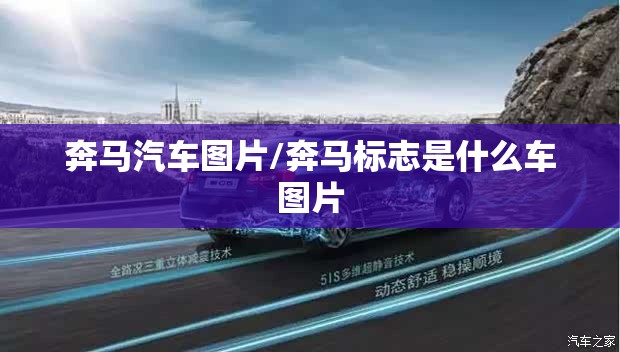 奔马汽车图片/奔马标志是什么车图片 奔马汽车图片/奔马标志是什么车图片