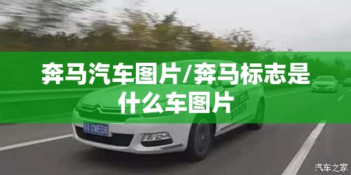奔马汽车图片/奔马标志是什么车图片 奔马汽车图片/奔马标志是什么车图片