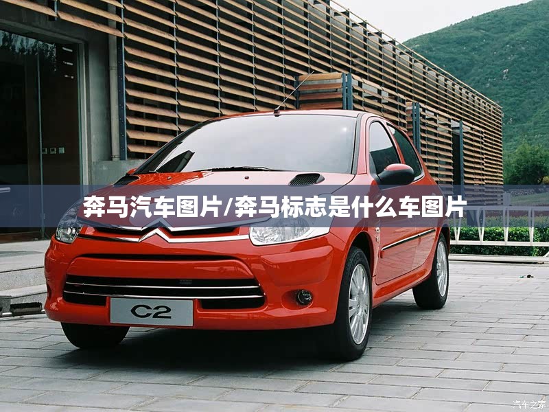 奔马汽车图片/奔马标志是什么车图片 奔马汽车图片/奔马标志是什么车图片