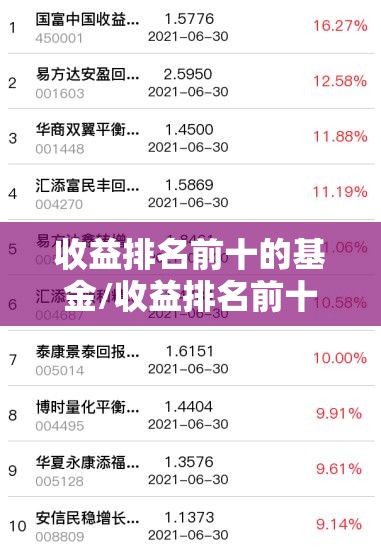 收益排名前十的基金/收益排名前十的基金经理
