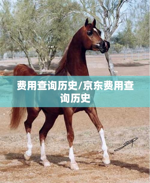 费用查询历史/京东费用查询历史 费用查询历史/京东费用查询历史