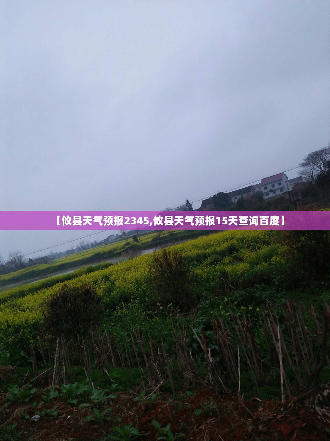 【攸县天气预报2345,攸县天气预报15天查询百度】 【攸县天气预报2345,攸县天气预报15天查询百度】