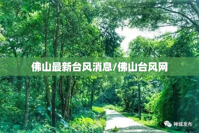 佛山最新台风消息/佛山台风网