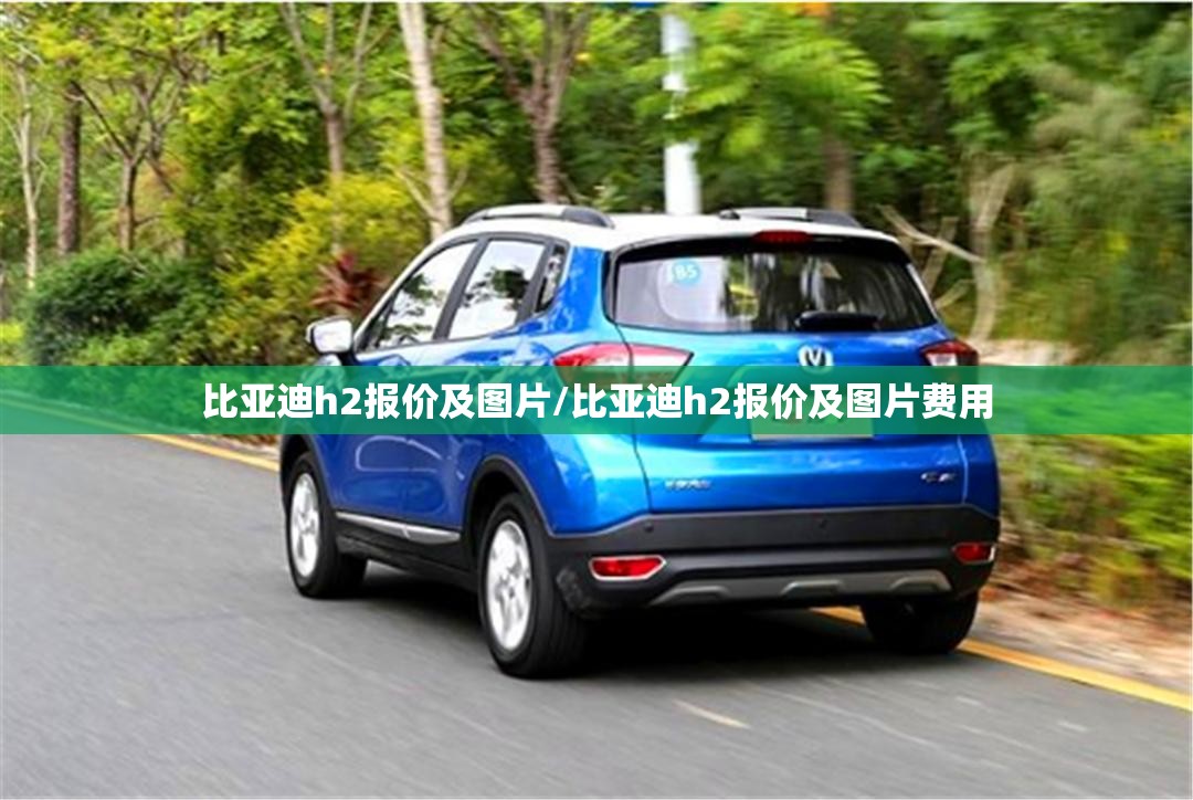 比亚迪h2报价及图片/比亚迪h2报价及图片费用 比亚迪h2报价及图片/比亚迪h2报价及图片费用