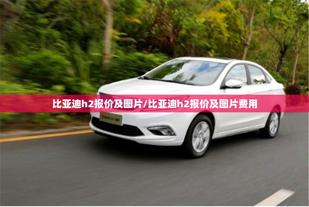 比亚迪h2报价及图片/比亚迪h2报价及图片费用 比亚迪h2报价及图片/比亚迪h2报价及图片费用