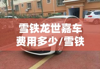 雪铁龙世嘉车费用多少/雪铁龙世嘉车怎么样 雪铁龙世嘉车费用多少/雪铁龙世嘉车怎么样
