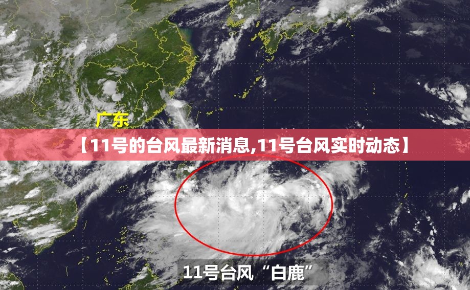 【11号的台风最新消息,11号台风实时动态】 【11号的台风最新消息,11号台风实时动态】