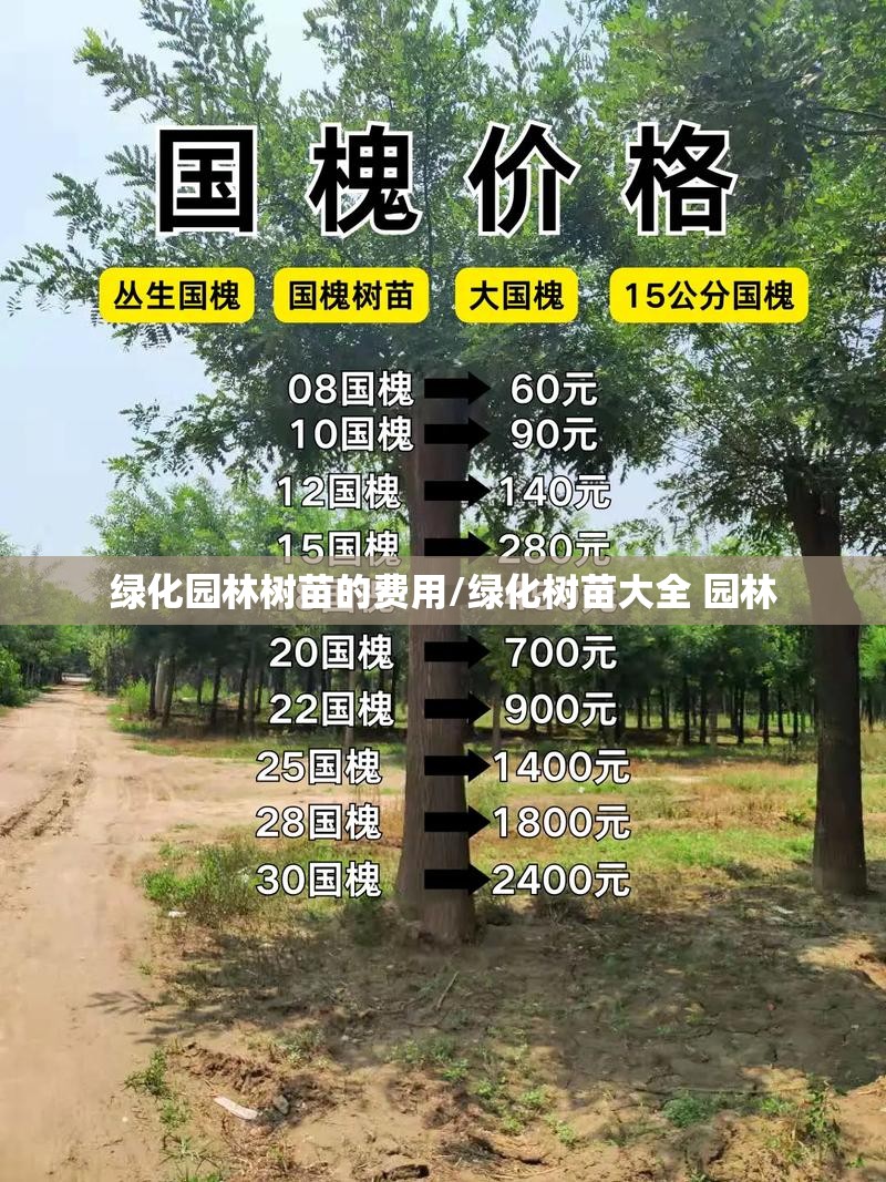 绿化园林树苗的费用/绿化树苗大全 园林