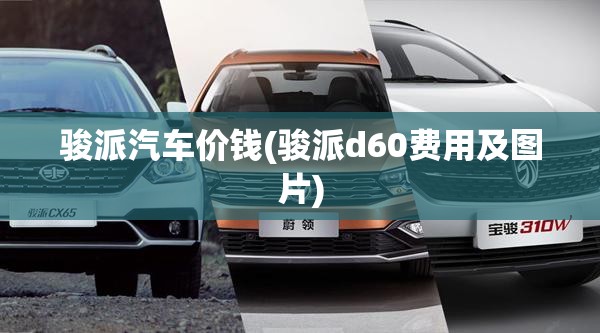 骏派汽车价钱(骏派d60费用及图片)