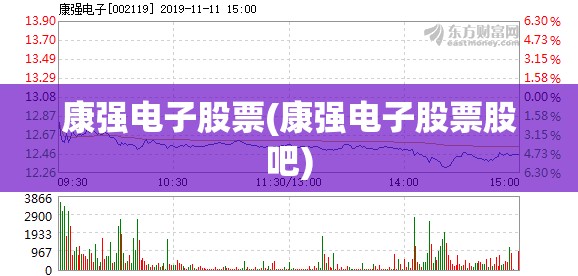 康强电子股票(康强电子股票股吧)