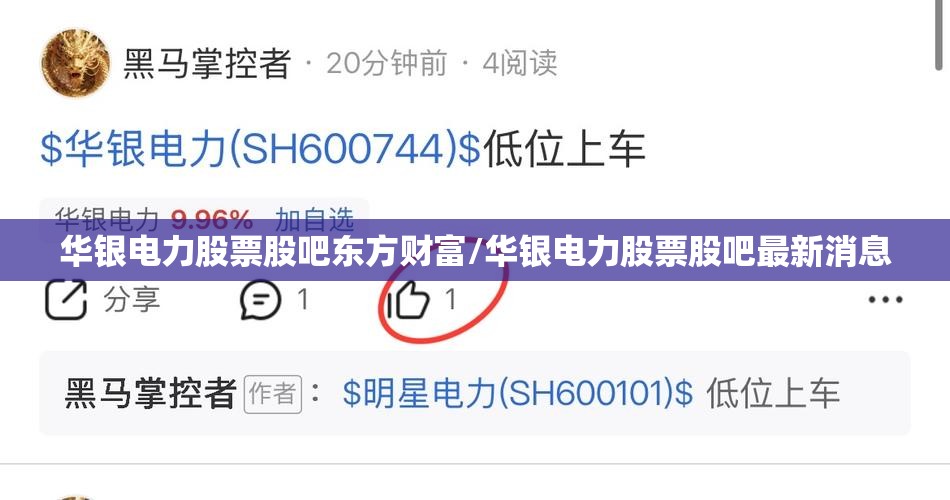 华银电力股票股吧东方财富/华银电力股票股吧最新消息 华银电力股票股吧东方财富/华银电力股票股吧最新消息