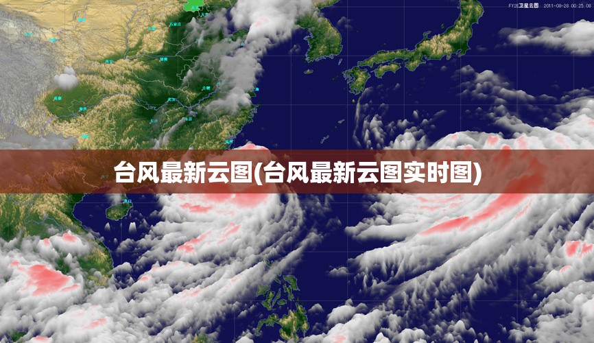 台风最新云图(台风最新云图实时图)