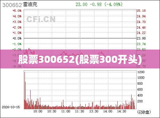 股票300652(股票300开头)