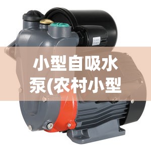 小型自吸水泵(农村小型自吸水泵)