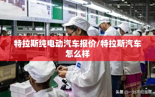 特拉斯纯电动汽车报价/特拉斯汽车怎么样 特拉斯纯电动汽车报价/特拉斯汽车怎么样