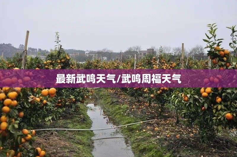 最新武鸣天气/武鸣周福天气 最新武鸣天气/武鸣周福天气