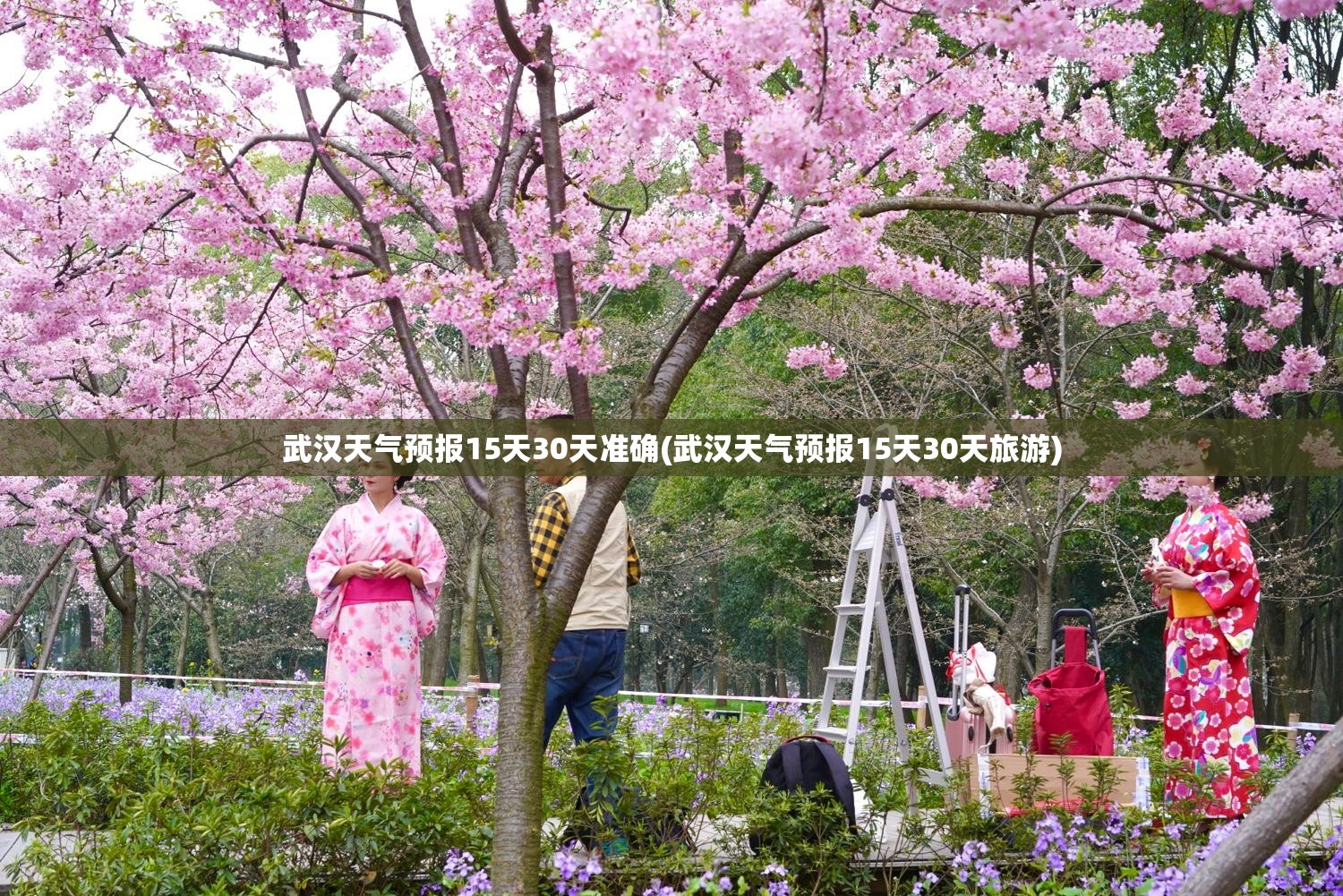 武汉天气预报15天30天准确(武汉天气预报15天30天旅游)
