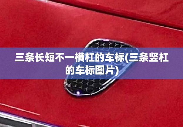 三条长短不一横杠的车标(三条竖杠的车标图片)