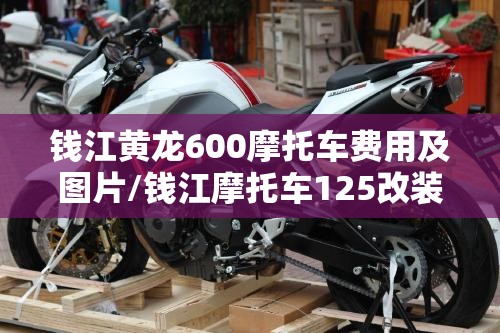 钱江黄龙600摩托车费用及图片/钱江摩托车125改装图片