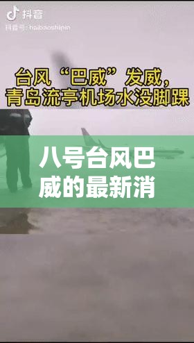 八号台风巴威的最新消息/八号台风巴威的最新消息新闻