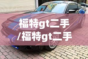 福特gt二手/福特gt二手行情 福特gt二手/福特gt二手行情