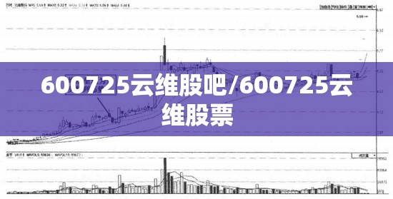 600725云维股吧/600725云维股票