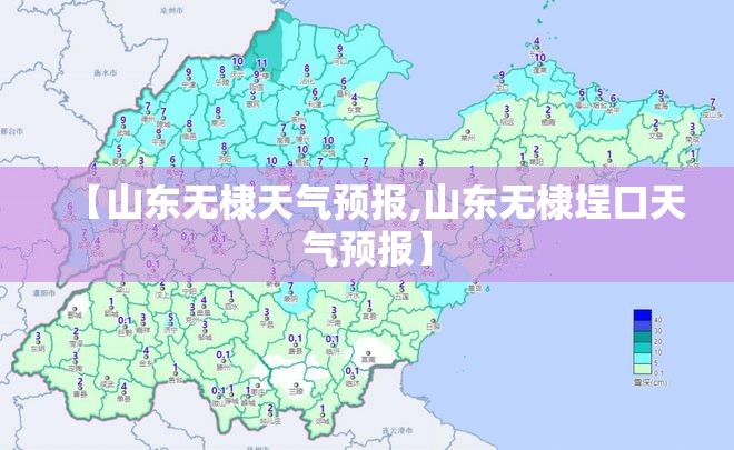 【山东无棣天气预报,山东无棣埕口天气预报】