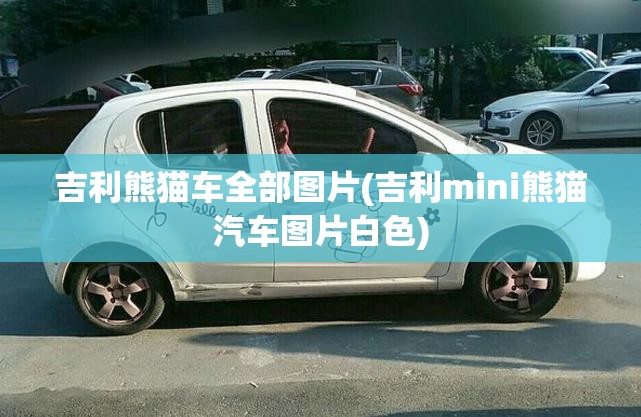 吉利熊猫车全部图片(吉利mini熊猫汽车图片白色) 吉利熊猫车全部图片(吉利mini熊猫汽车图片白色)