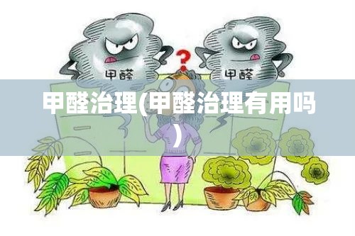 甲醛治理(甲醛治理有用吗) 甲醛治理(甲醛治理有用吗)