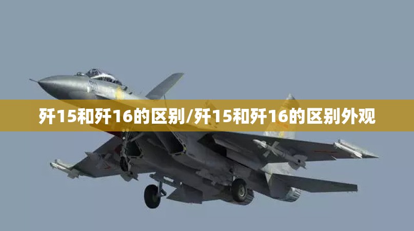 歼15和歼16的区别/歼15和歼16的区别外观 歼15和歼16的区别/歼15和歼16的区别外观