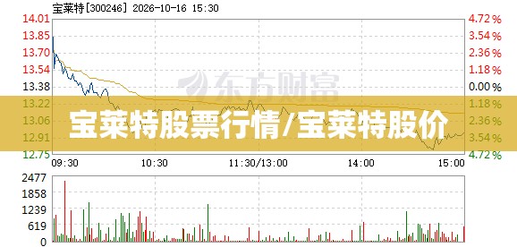 宝莱特股票行情/宝莱特股价