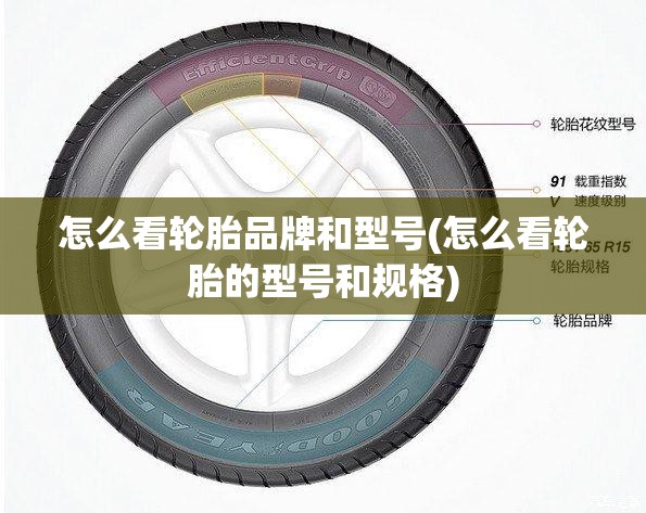 怎么看轮胎品牌和型号(怎么看轮胎的型号和规格) 怎么看轮胎品牌和型号(怎么看轮胎的型号和规格)