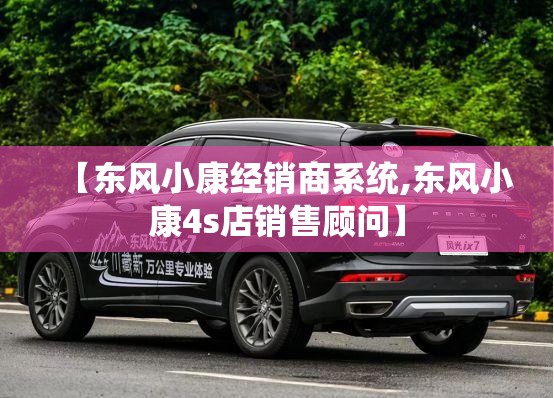 【东风小康经销商系统,东风小康4s店销售顾问】