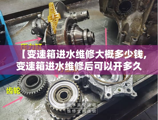 【变速箱进水维修大概多少钱,变速箱进水维修后可以开多久】 【变速箱进水维修大概多少钱,变速箱进水维修后可以开多久】