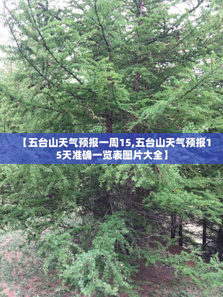 【五台山天气预报一周15,五台山天气预报15天准确一览表图片大全】