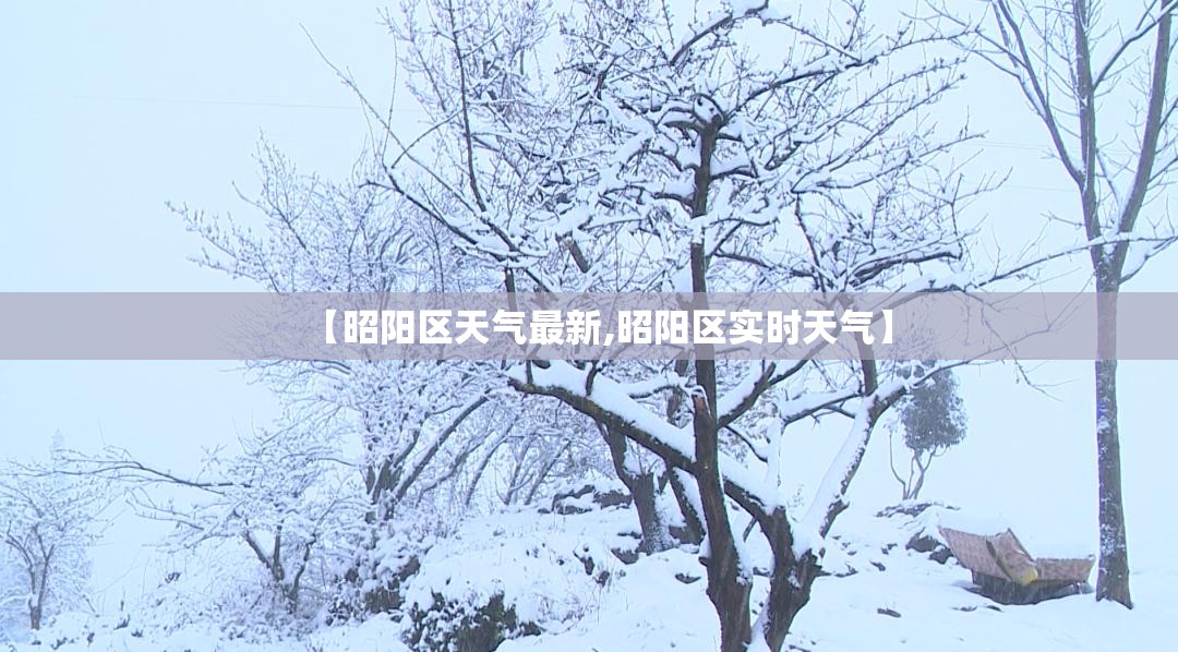 【昭阳区天气最新,昭阳区实时天气】