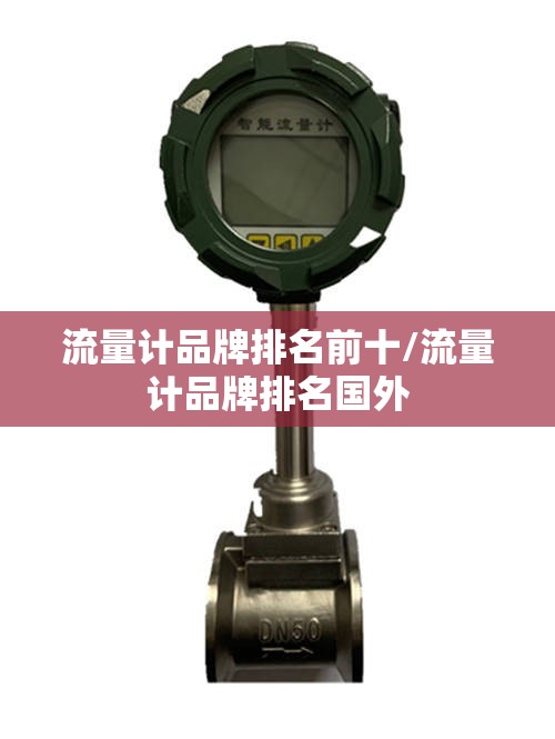 流量计品牌排名前十/流量计品牌排名国外