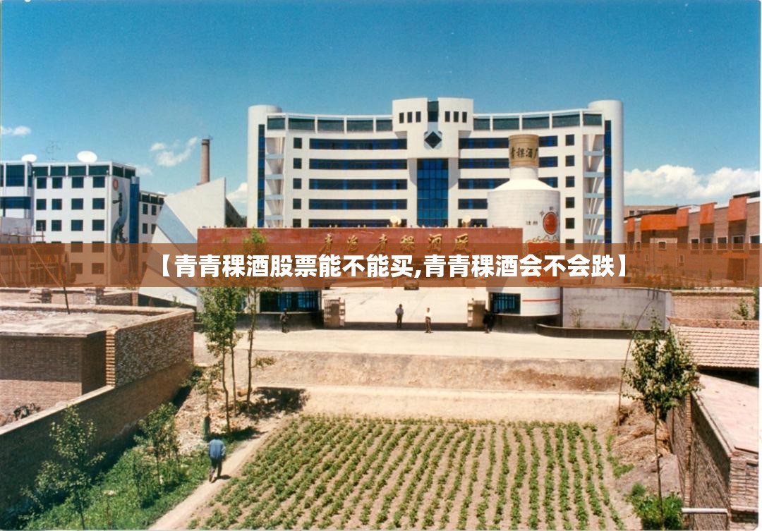 【青青稞酒股票能不能买,青青稞酒会不会跌】 【青青稞酒股票能不能买,青青稞酒会不会跌】
