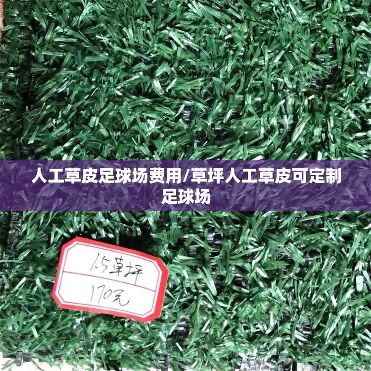 人工草皮足球场费用/草坪人工草皮可定制足球场 人工草皮足球场费用/草坪人工草皮可定制足球场