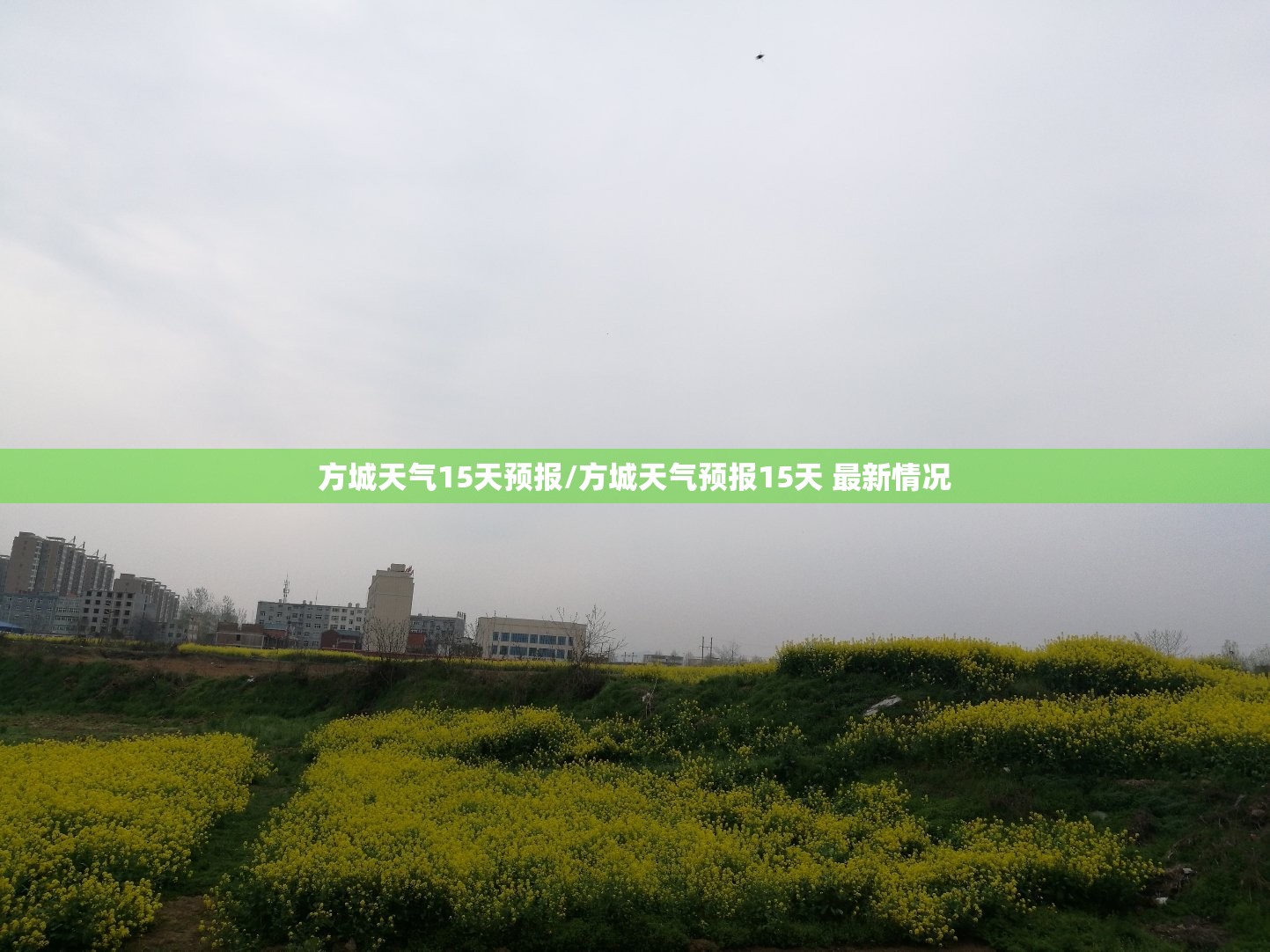 方城天气15天预报/方城天气预报15天 最新情况 方城天气15天预报/方城天气预报15天 最新情况