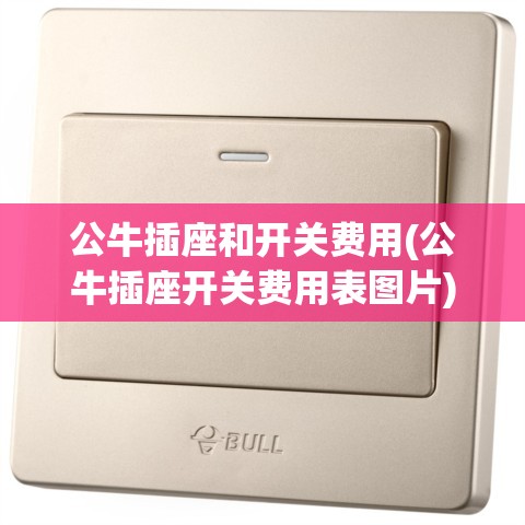 公牛插座和开关费用(公牛插座开关费用表图片) 公牛插座和开关费用(公牛插座开关费用表图片)