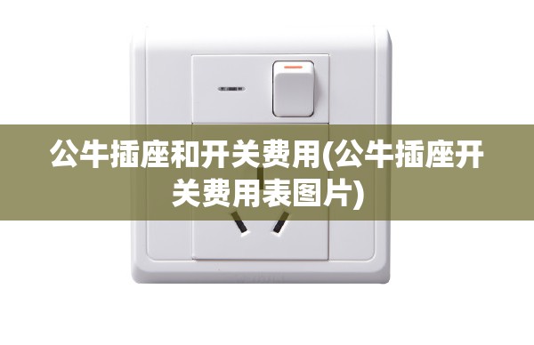 公牛插座和开关费用(公牛插座开关费用表图片) 公牛插座和开关费用(公牛插座开关费用表图片)