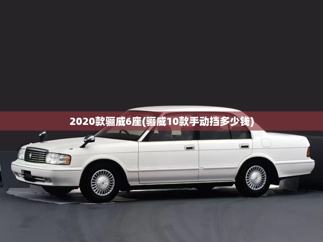 2020款骊威6座(骊威10款手动挡多少钱)