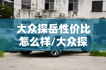 大众探岳性价比怎么样/大众探岳最建议买三样 大众探岳性价比怎么样/大众探岳最建议买三样