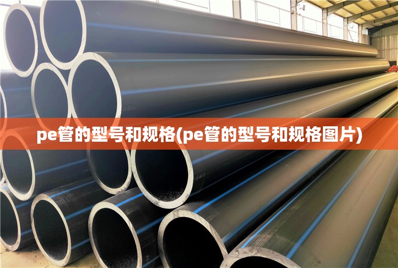 pe管的型号和规格(pe管的型号和规格图片)