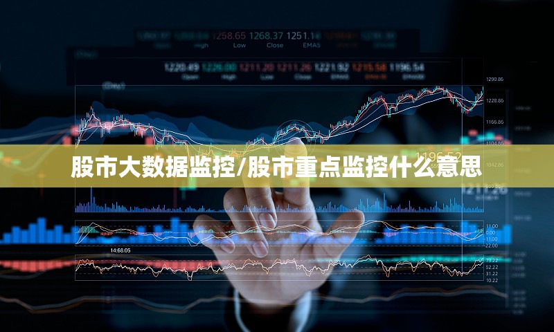 股市大数据监控/股市重点监控什么意思