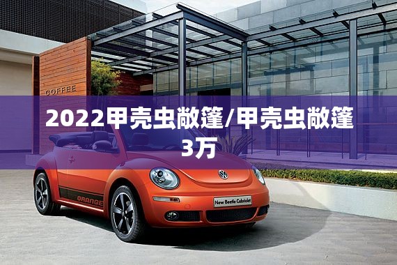 2022甲壳虫敞篷/甲壳虫敞篷3万