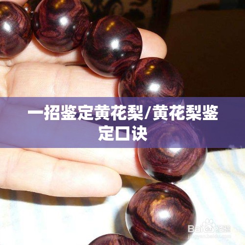 一招鉴定黄花梨/黄花梨鉴定口诀 一招鉴定黄花梨/黄花梨鉴定口诀