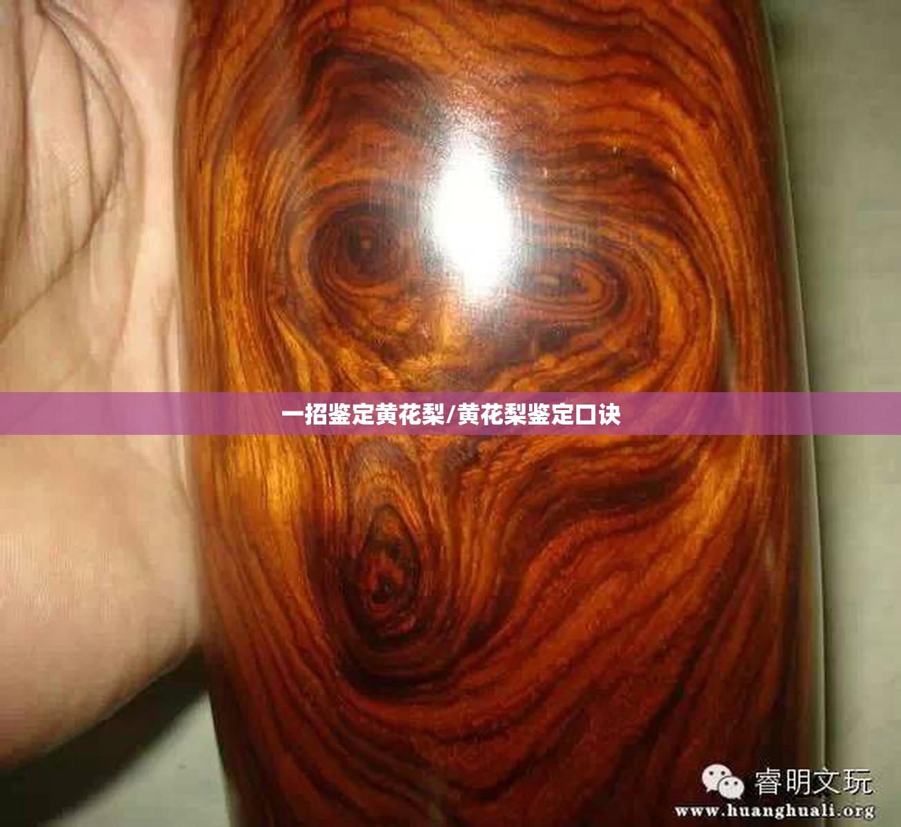 一招鉴定黄花梨/黄花梨鉴定口诀 一招鉴定黄花梨/黄花梨鉴定口诀