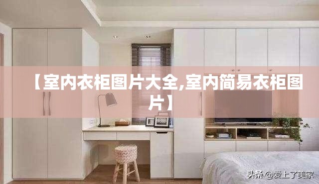【室内衣柜图片大全,室内简易衣柜图片】